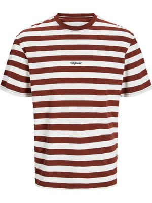 Jack & Jones Jorvesterbro Newton Çizgili Bisiklet Yaka Erkek T-Shirt