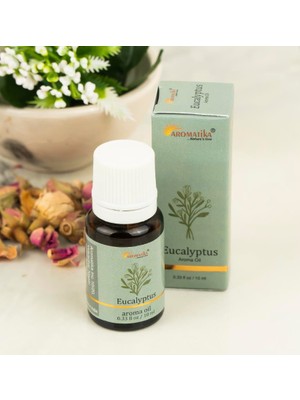 Aromatika Okaliptus - Buhurdanlık Kokusu (Difüzör Kokusu)