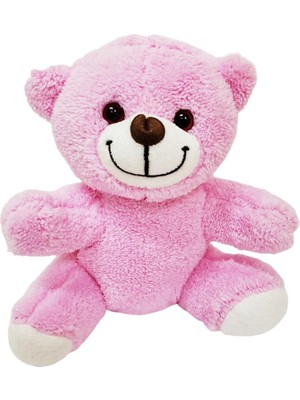 İsmiyle Al Sevimli Peluş Pembe Ayıcık