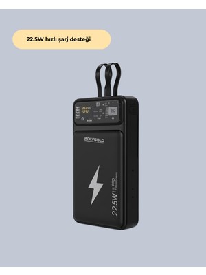 PGPW10 Powerbank - Lisinya