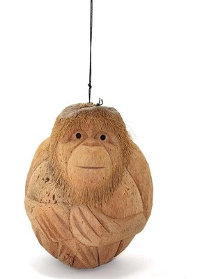 İsmiyle Al Coconat Maymun Büstü