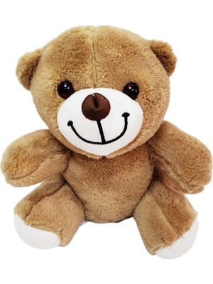 İsmiyle Al Sevimli Peluş Ayicik