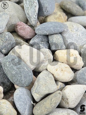 Sosc Natural Sosc Doğal Nazilli Dere Çakıl Taşı, Tamburlanmış Dekoratif Taş, Renkli Dolomit, 2-4 Cm, 3 Kg, Saksı Dibi, Akvaryum ve Bahçe Düzenleme
