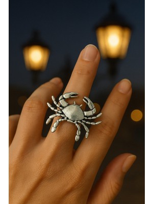 Herşey Nota Yengeç Burcu Simgeli Unisex Ayarlanabilir Metal Yüzük