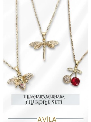 Yusufçuk Arı ve Kiraz Figürlü Çelik Zincir  Kadın Kolye  Seti