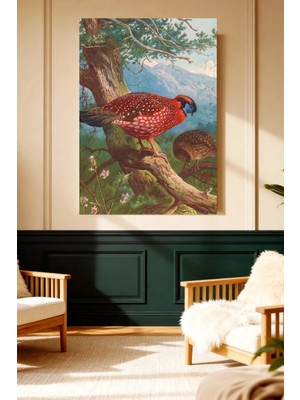 Mushen Studio Altın Fasulye Sülün (Golden Pheasant) Vintage Kanvas Tablo Büyük Boy Yağlıboya Tarzı Kuş Resmi