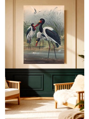 Mushen Studio Doğal Yaşam Turna Kuşları Sanat Baskısı Kanvas Tablo