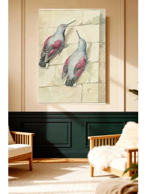 Mushen Studio Pembe Gri Kuşlar Sanat Illüstrasyonu Kanvas Tablo