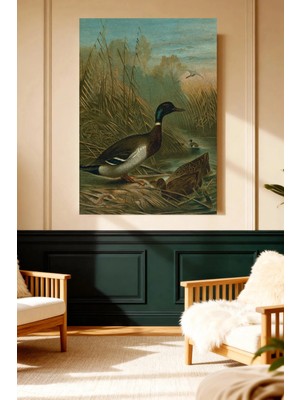 Mushen Studio Yeşilbaş Ördek Sulak Alan Vintage Kanvas Tablo Büyük Boy Yağlıboya Tarzı Kuş Resmi