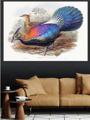 Mushen Studio Himalayan Sülün Lophophorus Lhuysii Klasik Kuş Kanvas Tablo