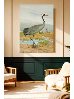 Mushen Studio Kızıl Turna Kuşu (Sandhill Crane) Vintage Kanvas Tablo Büyük Boy Yağlıboya Tarzı Kuş Resmi