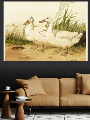 Mushen Studio Beyaz Ördekler Natürmort Kanvas Tablo Klasik Duvar Dekoru Sanat Eseri Çerçevesiz Ev