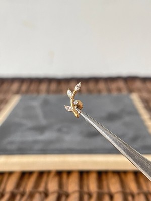 Aida Jewelss %100 Cerrahi Çelik  Dal Zirkon Altın 7x1.2mm Labret Piercing