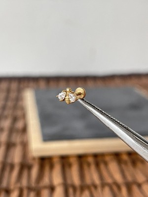 Aida Jewelss %100 Cerrahi Çelik Arı Zirkon 6x1.2mm Altın Labret Piercing