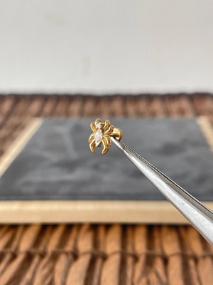 Aida Jewelss %100 Cerrahi Çelik Örümcek Zirkon 6x1.2mm Altın Labret Piercing