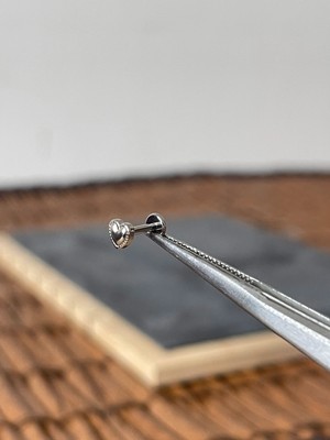 Aida Jewelss Yüksek Kalite G23  Kalp Titanyum 6x1.2mm Labret Piercing