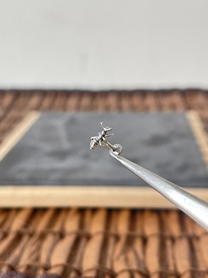 Aida Jewelss %100 Cerrahi Çelik Karınca 6x1.2mm Çelik Labret Piercing