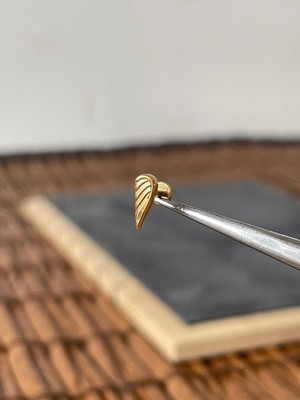 Aida Jewelss Yüksek Kalite G23 Kanat Altın Titanyum 6x1.2mm Labret Piercing