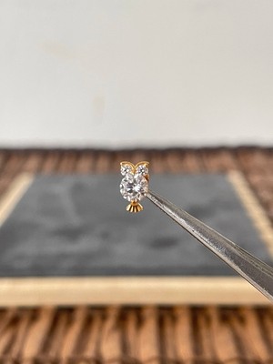 Aida Jewelss Yüksek Kalite G23 Titanium Baykuş Zirkon Altın Titanyum 6x1.2mm Labret Piercing