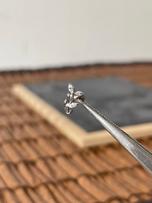 Aida Jewelss Yüksek Kalite G23 Titanium Dal Markiz Zirkon Titanyum 6x1.2mm Labret Piercing