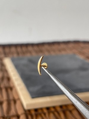 Aida Jewelss Yüksek Kalite G23 Titanium Düz Ay Altın Titanyum 6x1.2mm Labret Piercing