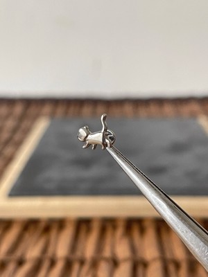 Aida Jewelss Yüksek Kalite G23 Titanium Kedi Titanyum 6x1.2mm Labret Piercing