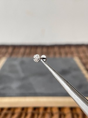 Aida Jewelss Yüksek Kalite G23 Gül Titanyum 6x1.2mm Labret Piercing