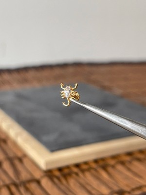 Aida Jewelss Yüksek Kalite G23 Akrep Zirkon Altın Titanyum 6x1.2mm Labret Piercing