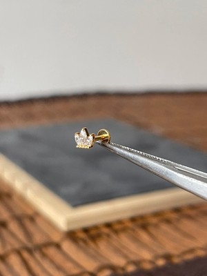 Aida Jewelss Yüksek Kalite G23 Taç Zirkon Altın Titanyum 6x1.2mm Labret Piercing