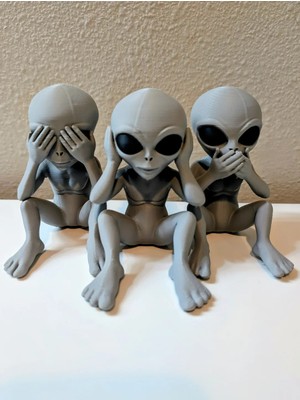 3D Layer Craft Uzaylı Görmedim Duymadım Bilmiyorum Figür Seti Dekoratif Obje Biblo