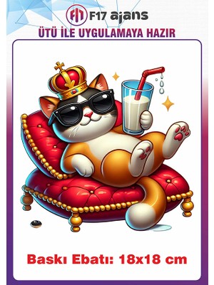 F17 Ajans Kedi Yaz Temalı Ütü ile Yapışan Tekstil Kumaş Tişört Baskı