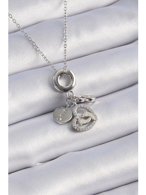 Bucuks Mey Ithalat® 316L Çelik Gümüş Renk Zirkon Taş Detay Kalp Model Charm Kadın Kolye