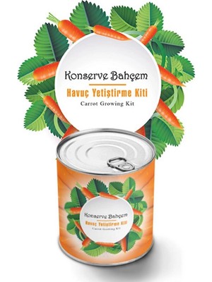 Bucuks Mey Ithalat®  Konserve Bahçem Evde Konservede Havuç Yetiştirme Büyütme Kiti