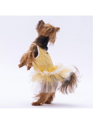 Epilons Pawstar Yellow Polka-Dot L 30 x 33 x 46 cm