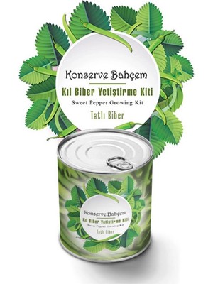 Bucuks Mey Ithalat®  Konserve Bahçem Evde Konservede Tatlı Sivri Biber Yetiştirme Kiti