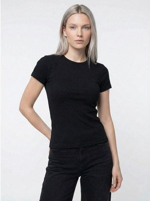 Loft Slim Fit Kadın Tshirt K.kol
