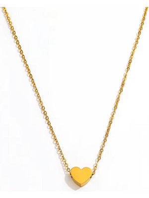 Aleyka Sf Ince Zincir Ile Tasarlanmış Paslanmaz Çelik Mini Kalp Kolye