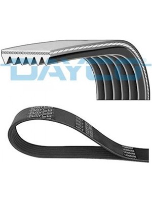 Dayco Zengemtx V Kayişi 307 1.6 Hdi 00