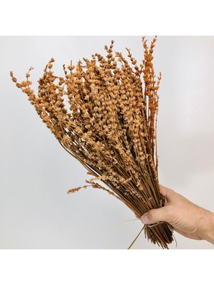 Yapay Çiçeğim Şoklanmış Lavanta Gerçek Lavanta Demeti Kahverengi