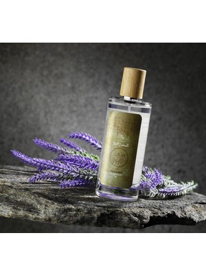 LuviLavant Dioscorides Serisi Lavanta Çiçeği Eau De Toilette Parfüm Kolonya 100 ml 80 Derece Cam Şişe Sprey