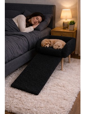 arge demo Rampaxl Köpek Rampası Köpek Yatağı ve Puf Iki Fonksiyonlu