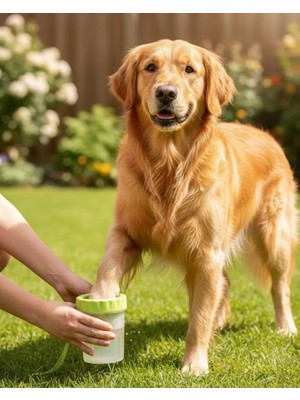 Stylmenplus Yuvarlak Başlıklı Köpek Pati Temizleyici Yumuşak Silikon Fırçalı