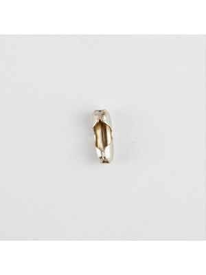 Aesco 2,4 Mmtırnak Makası Kapama Aparatı 50 Gram