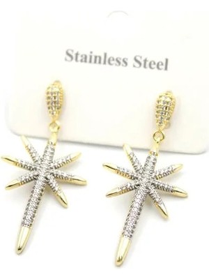 Aesco Kutup Yıldızı Küpe - Altın