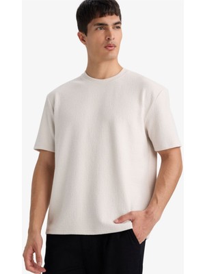 Defacto Erkek T-Shirt F9633AX/ER22 Stone