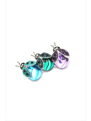 Aesco Uğur Böceği Broş - Çok Renkli