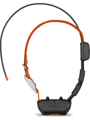 Garmin Garmin Alpha Tt 25 - Köpek Tasması