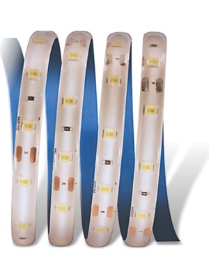 5 Metre Cata Ct 4487 Dış Mekan 10 Çipli Şerit LED 12V 6400K Beyaz Işık