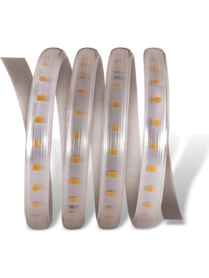 25 Metre Cata Ct 4552 220V 3 Çip Dış Mekan Hortum Şerit LED Yeşil
