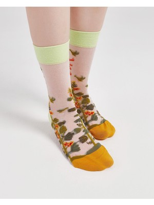 Bolero Kadın Japon Kore Tarzı Transparan Çorap  Çorap Güneş Desen